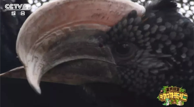 1556243209889693.jpg 思看三維掃描儀榮登CCTV1.jpg