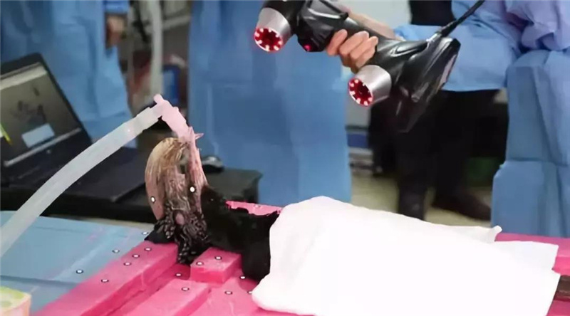 1556243391959824.jpg 三維掃描儀掃描犀鳥.jpg