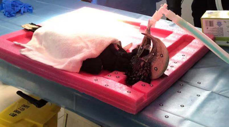 1556243412993653.jpg 三維掃描貼點.jpg