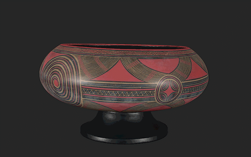 矮足盤三維模型