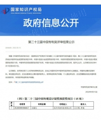 中國專利獎(jiǎng)